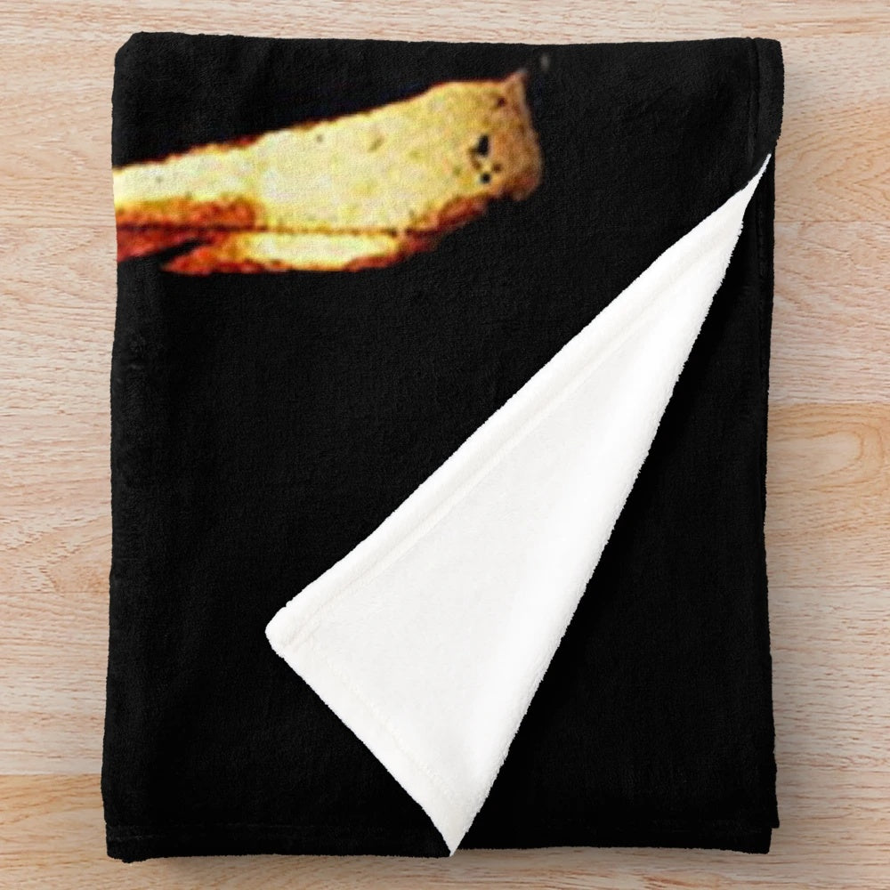Soft and cozy plush blanket featuring the Bon Jovi rock band logo