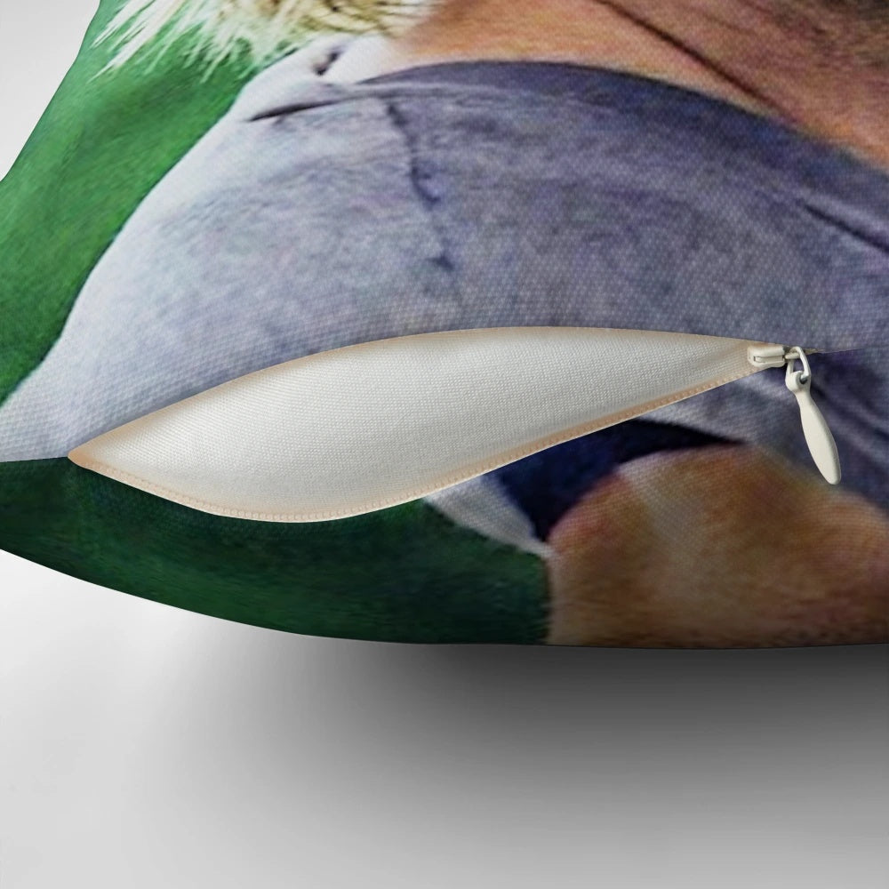 ABC's LOST Sawyer Ford themed throw pillow