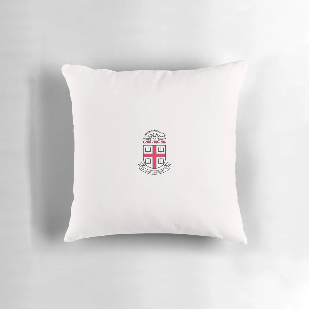 Brown University Bears logo printed on a soft, plush pillow