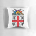 Brown University Takashi Murakami Decorative Pillow