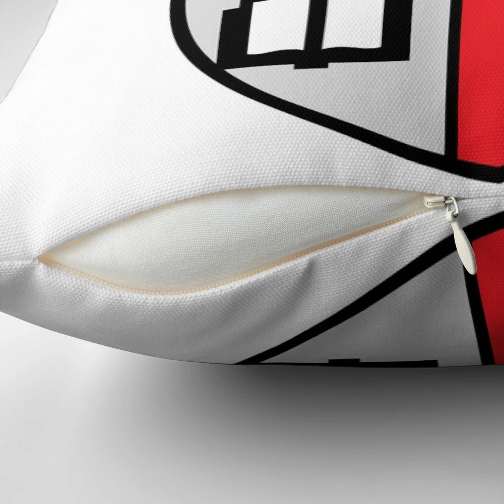 Brown University Takashi Murakami Decorative Pillow