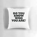 A soft, plush pillow featuring a portrait of English singer-songwriter Harry Styles with the text "Do You Know Who You Are?