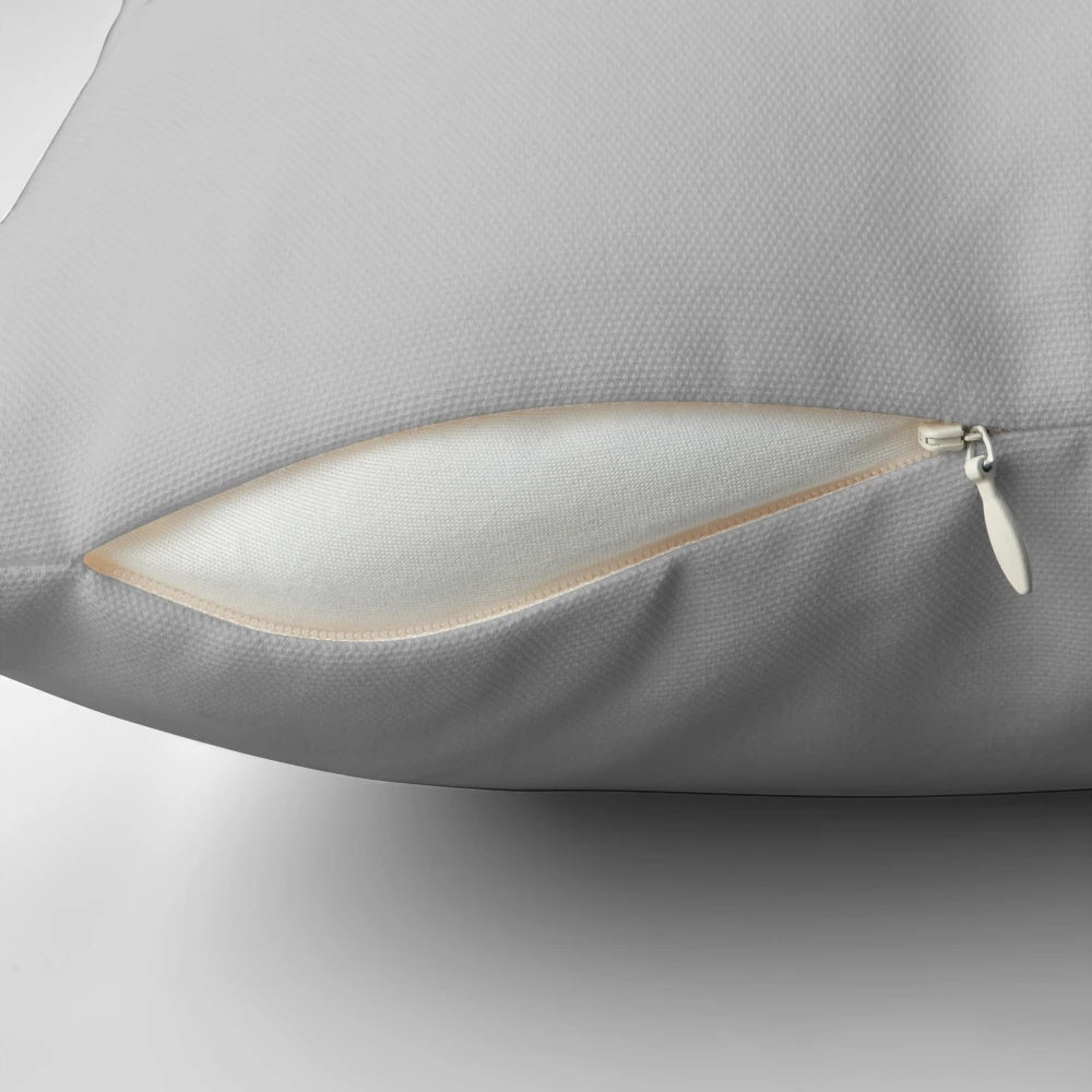 Providence University Pillow with Official Logo and Mascot