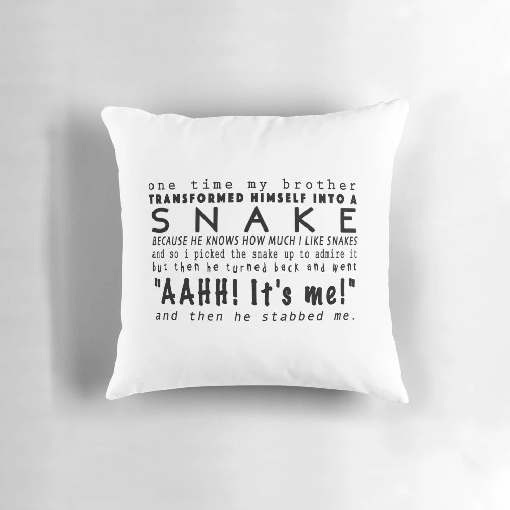 Cozy "Thor Ragnarok" Loki-themed decorative pillow with text "and then he stabbed me