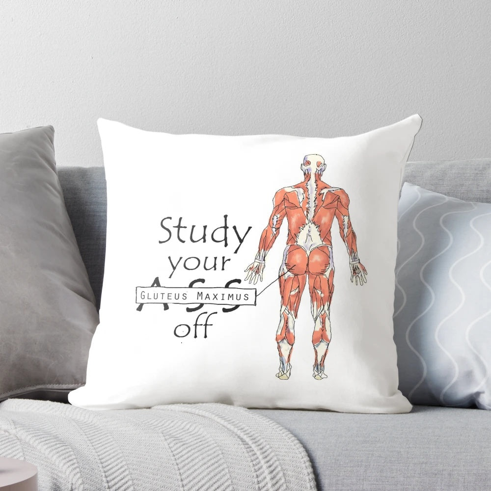 Pillow POD designed to support the gluteus maximus for studying and desk work