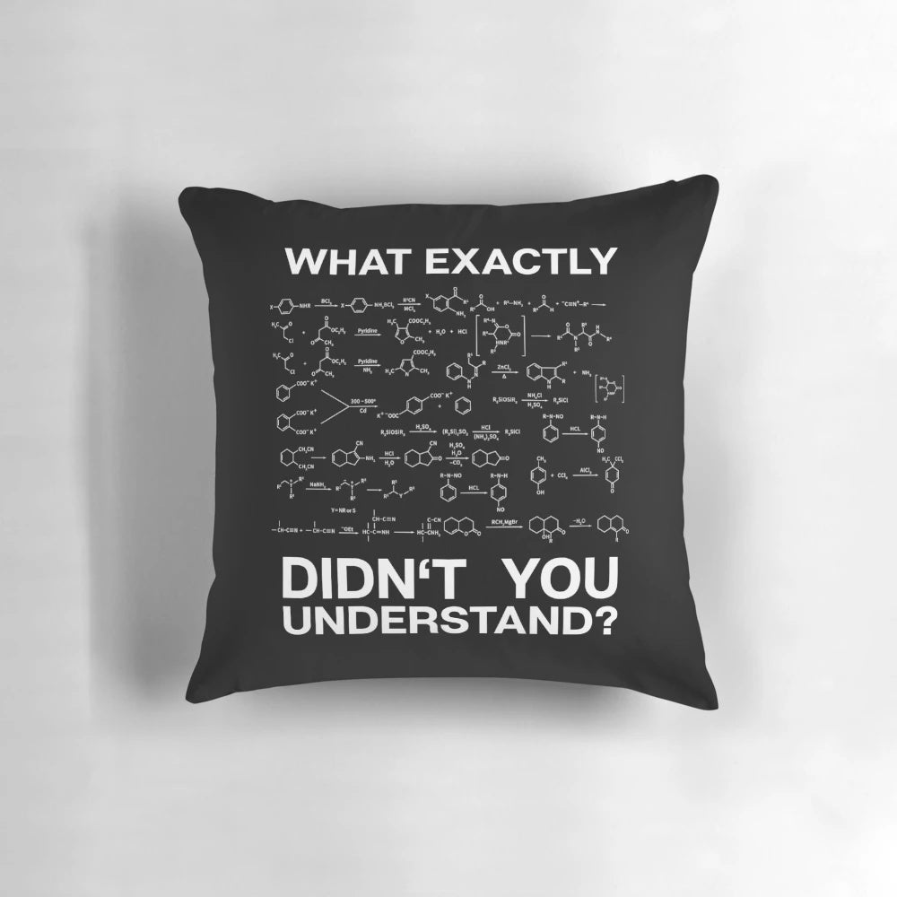 Organic Chemistry Chemist Gift Pillow with Equations