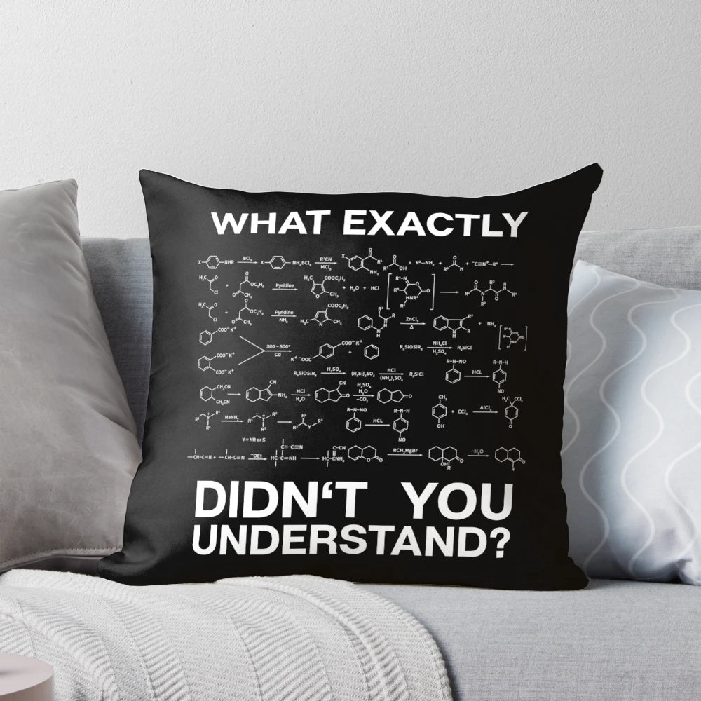 Organic Chemistry Chemist Gift Pillow with Equations