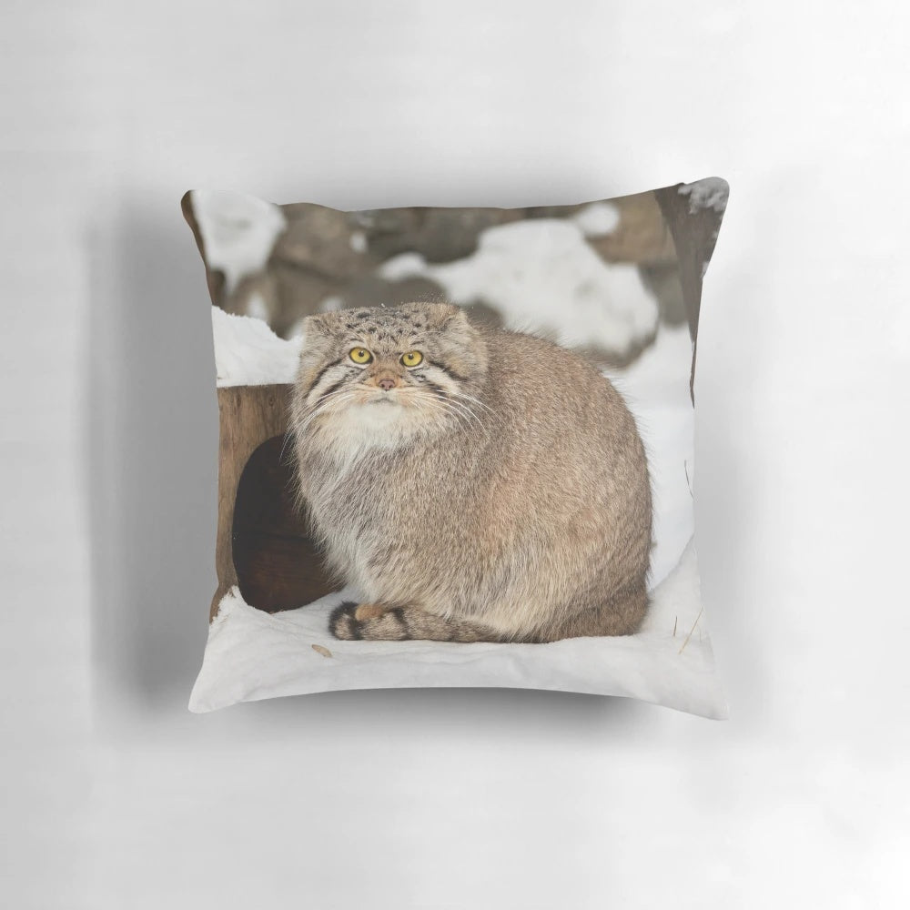 Pallas's cat (Otocolobus manul) relaxing on a sunny day, featured on a decorative throw pillow