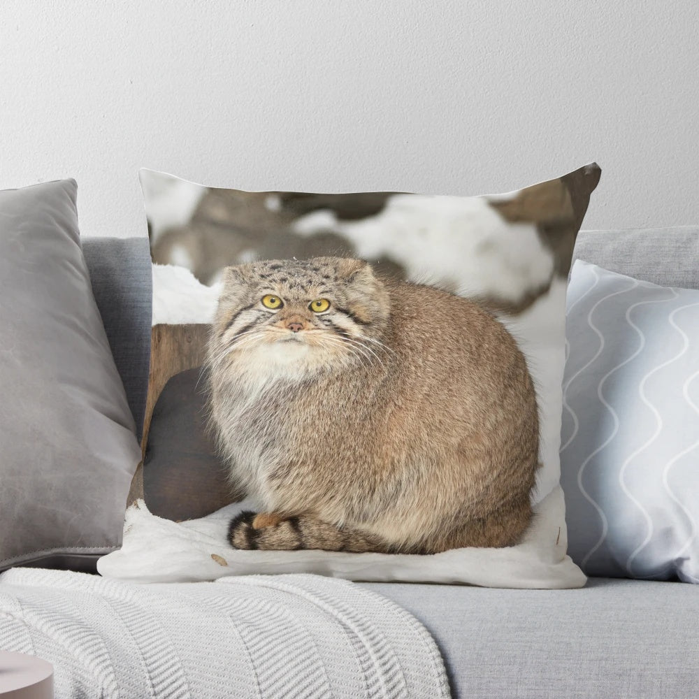 Pallas's cat (Otocolobus manul) relaxing on a sunny day, featured on a decorative throw pillow
