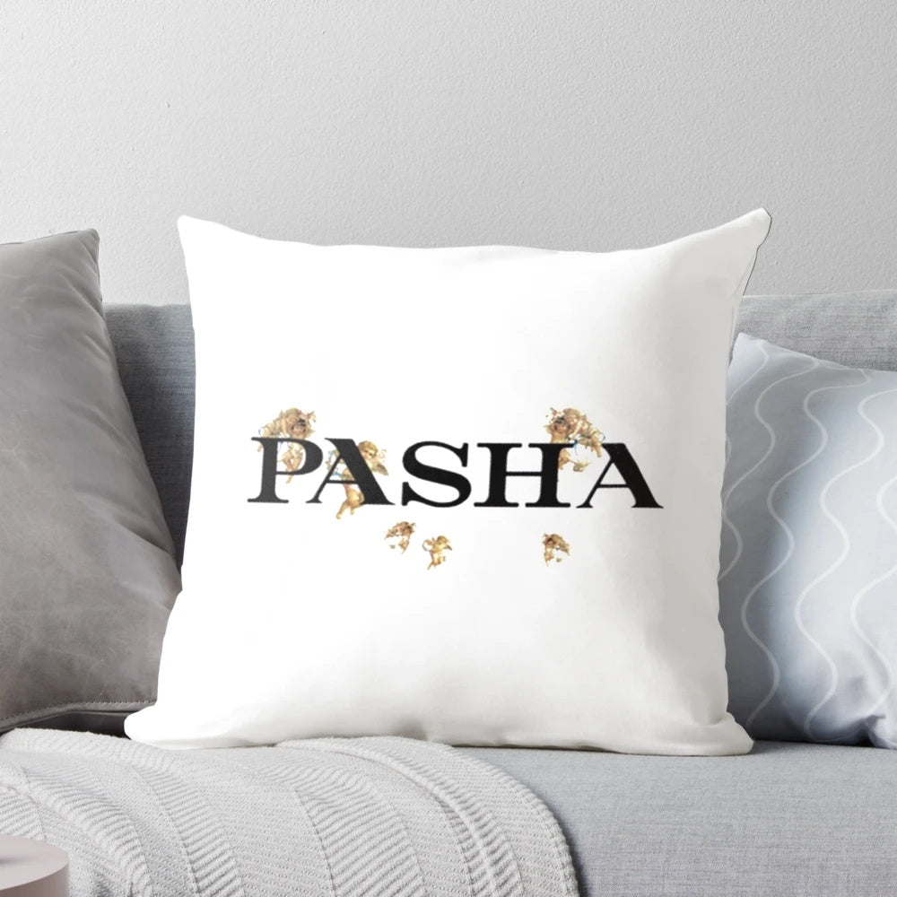 Pashanim logo printed on a soft, plush decorative pillow