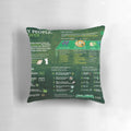 Decorative pillow featuring an infographic that explains the Jewish holiday of Passover