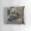 Stylish throw pillow with a charming border terrier paw print design, perfect for dog lovers.