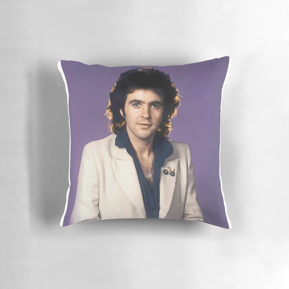 A plush pillow featuring the image of British singer-songwriter David Essex