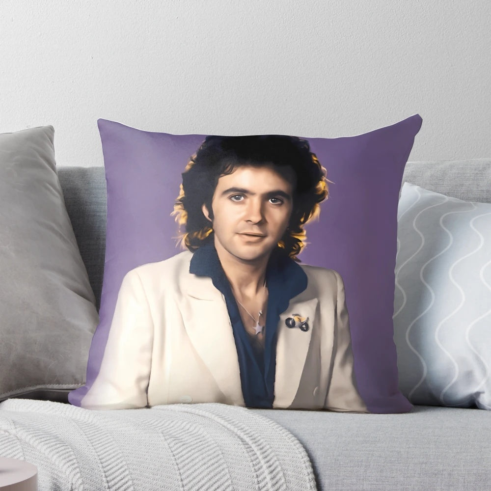 A plush pillow featuring the image of British singer-songwriter David Essex