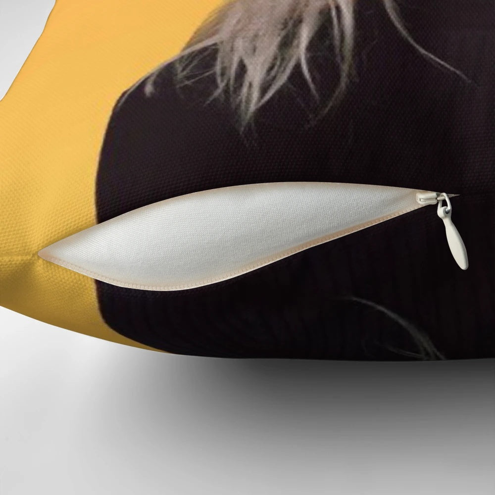 Phoebe Bridgers inspired indie music pillow with album artwork