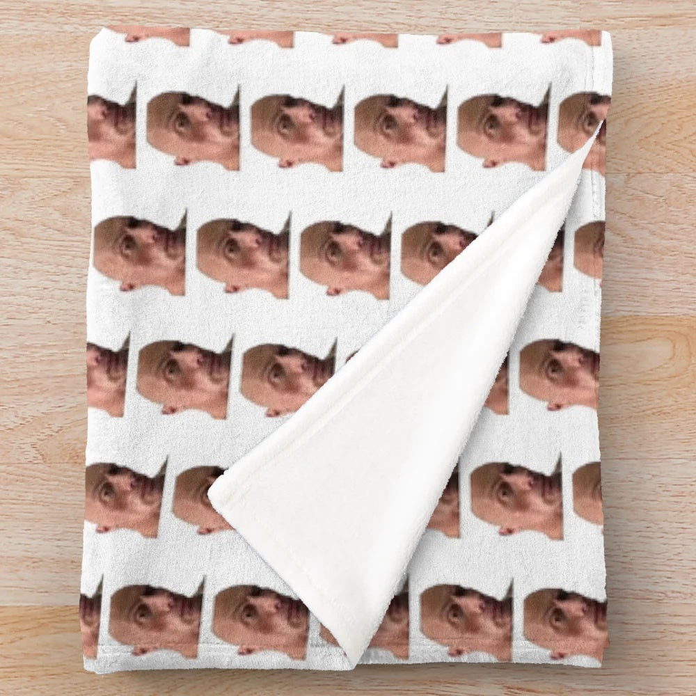 Plush blanket with the rock eyebrow raise meme design