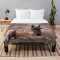 Belgian Malinois Shepherd Dog Plush Blanket