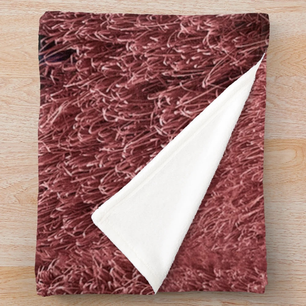 Plush blanket with Westlife-inspired design