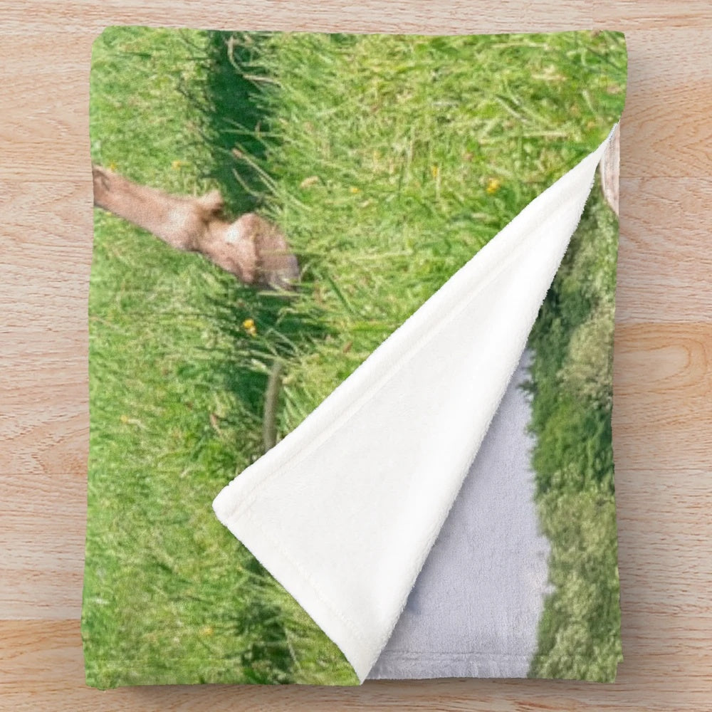 Haflinger horses running together in a natural meadow scene on a plush blanket