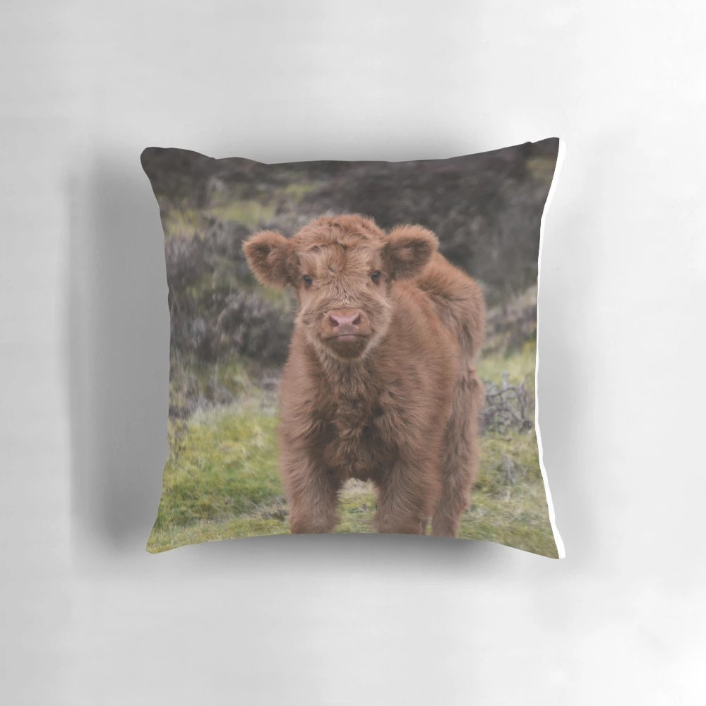Cozy highland cow calf pillow, perfect for highland cattle lovers