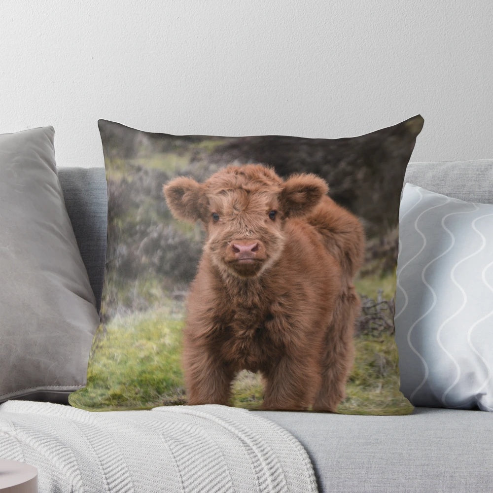 Cozy highland cow calf pillow, perfect for highland cattle lovers