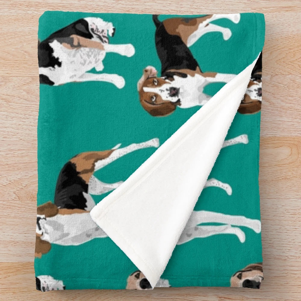 Treeing Walker Coonhound on a teal plush blanket