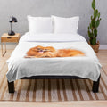 Cute red pomeranian plush blanket