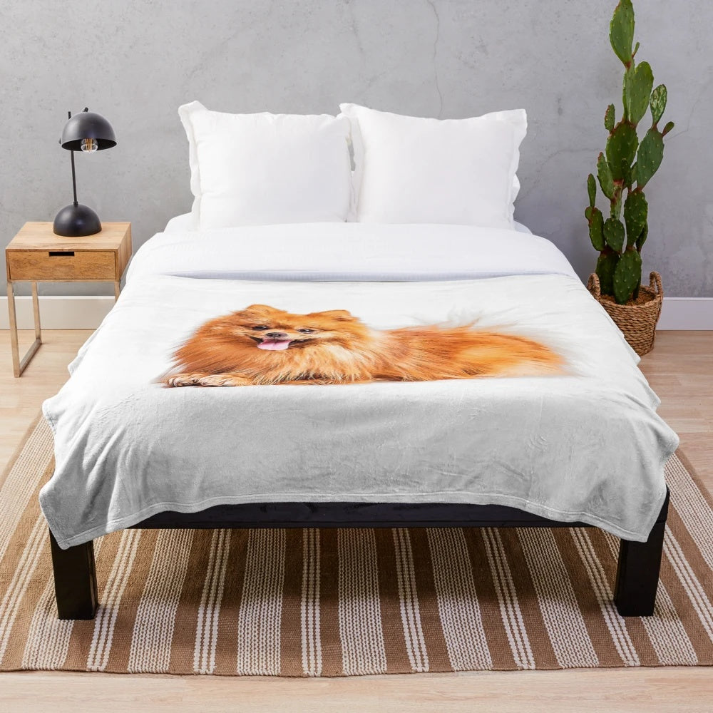 Cute red pomeranian plush blanket