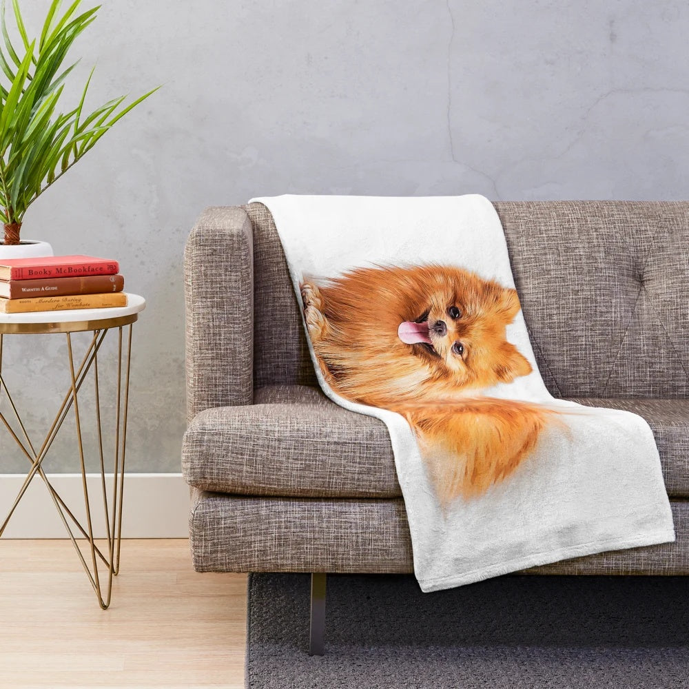 Cute red pomeranian plush blanket