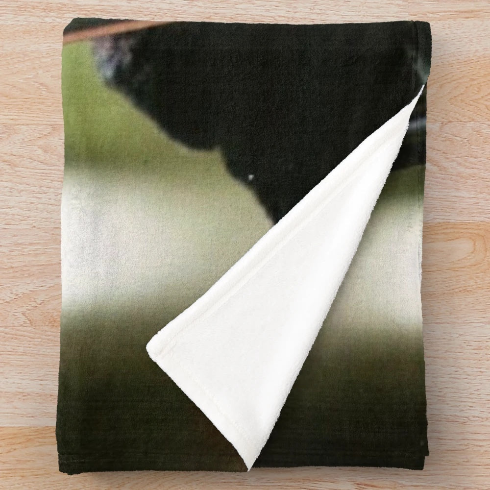 Prince Caspian inspired plush blanket featuring Ben Barnes as the Telmarine prince