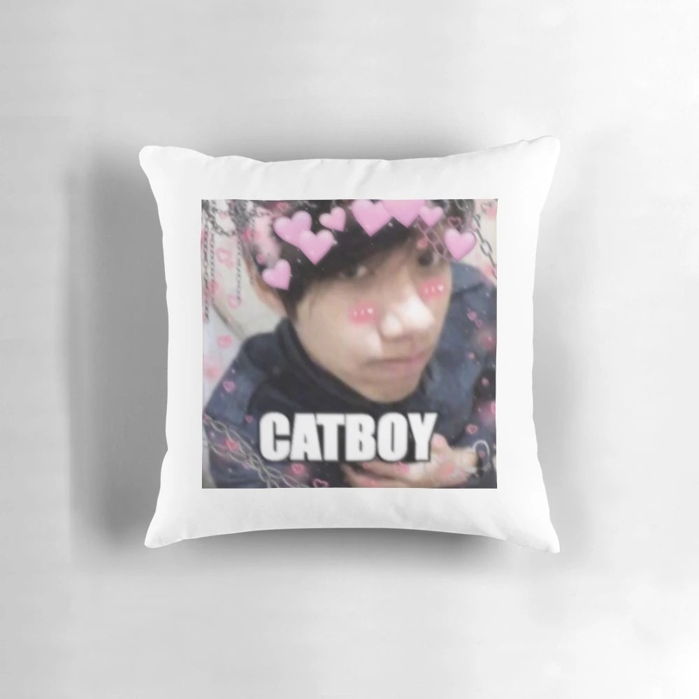 A soft, plush pillow featuring the likeness of Quackity, a popular content creator from the DreamSMP Minecraft community.