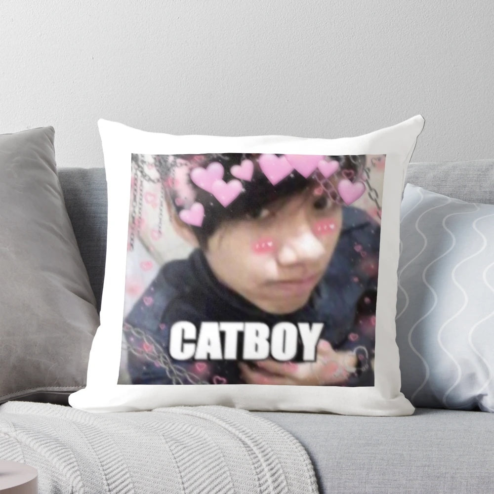 A soft, plush pillow featuring the likeness of Quackity, a popular content creator from the DreamSMP Minecraft community.