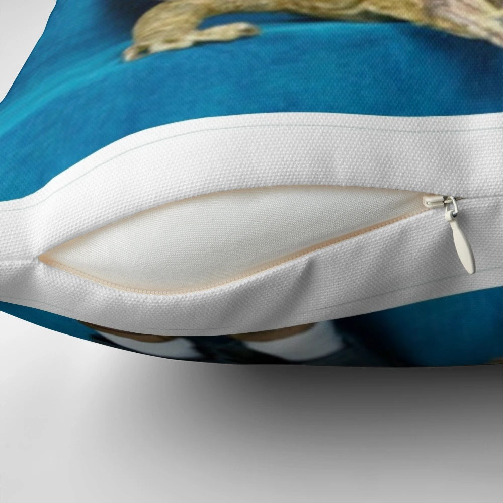 Ravi's Freaked-Out Pillow from Disney's Jessie, featuring a lizard and rap lyrics
