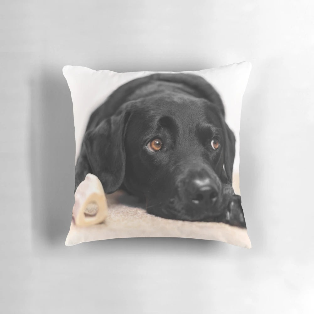 Detailed portrait of a beautiful black Labrador retriever on a plush, decorative pillow