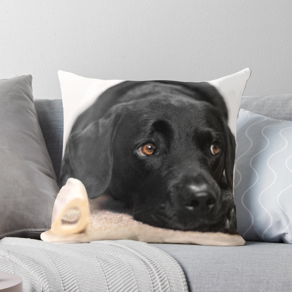 Detailed portrait of a beautiful black Labrador retriever on a plush, decorative pillow
