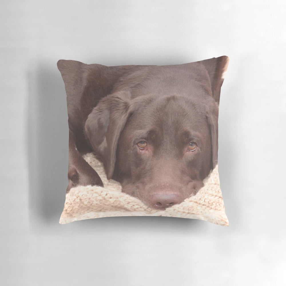 Chocolate Labrador Retriever Pillow