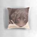 Chocolate Labrador Retriever Pillow