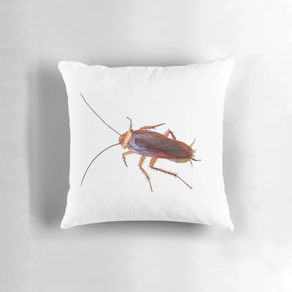 Realistic illustration of a cockroach, a unique and quirky pillow design for nature and insect art lovers