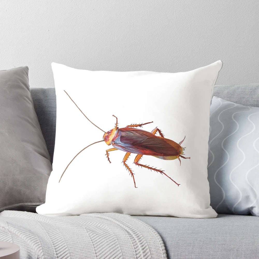 Realistic illustration of a cockroach, a unique and quirky pillow design for nature and insect art lovers