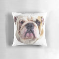Closeup image of an English bulldog's head printed on a soft, plush pillow.