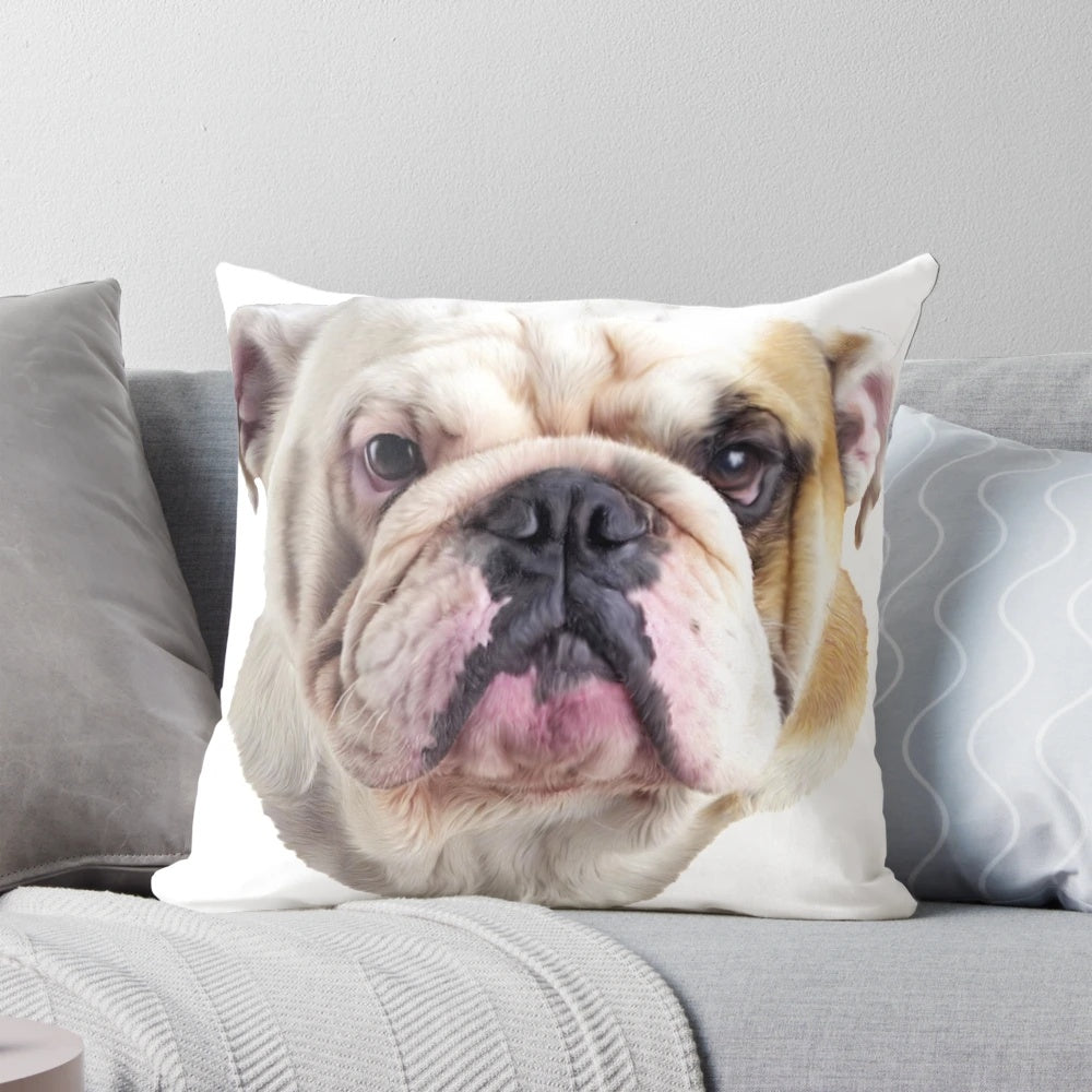 Closeup image of an English bulldog's head printed on a soft, plush pillow.