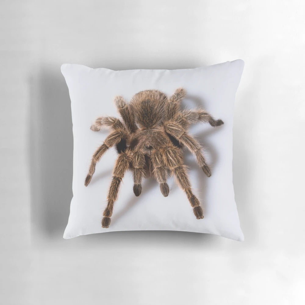 A plush, life-like tarantula pillow for unique home decor