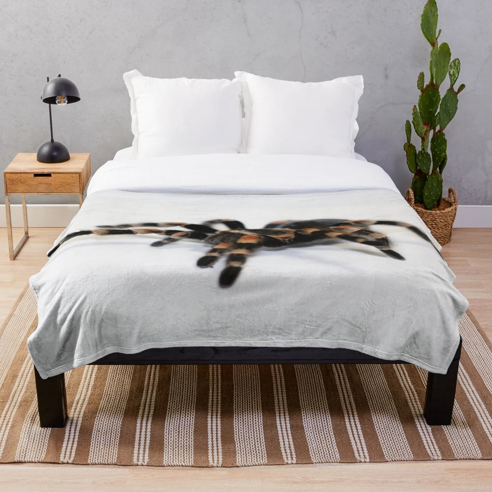 Tarantula plush blanket featuring a realistic Mexican redknee tarantula design