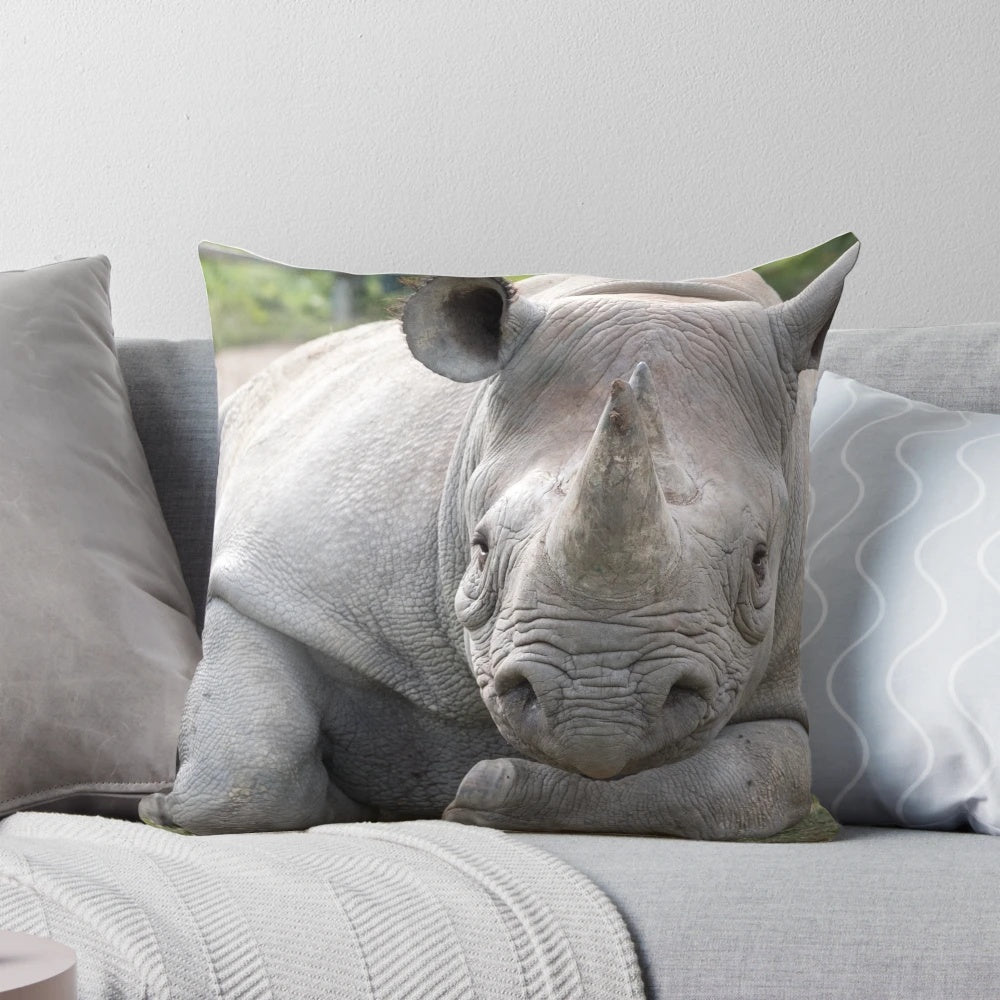 A black rhino resting its head on its forearm, looking relaxed in its natural environment.