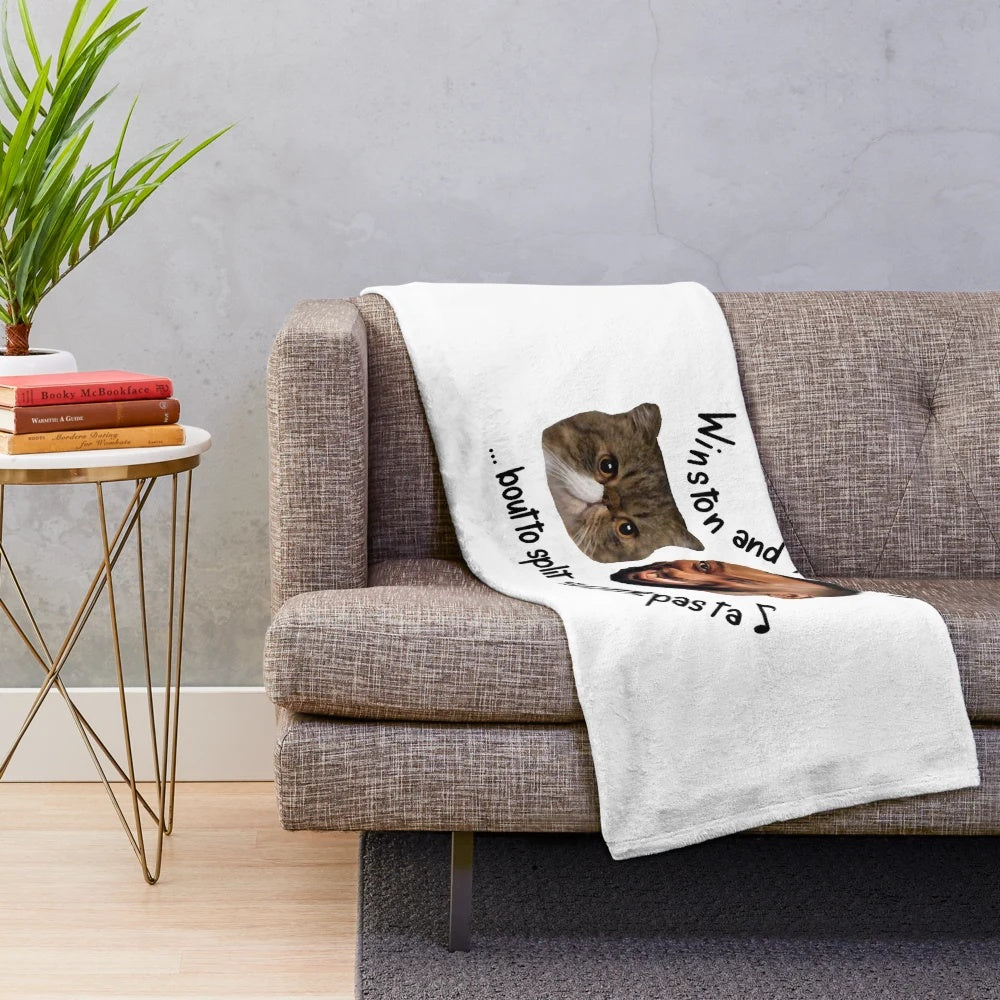 Retro music-themed plush blanket featuring characters from the TV show New Girl