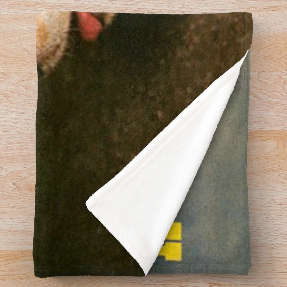 Plush blanket featuring the album cover design of Himiko Kikuchi's "Flying Beagle" jazz fusion album