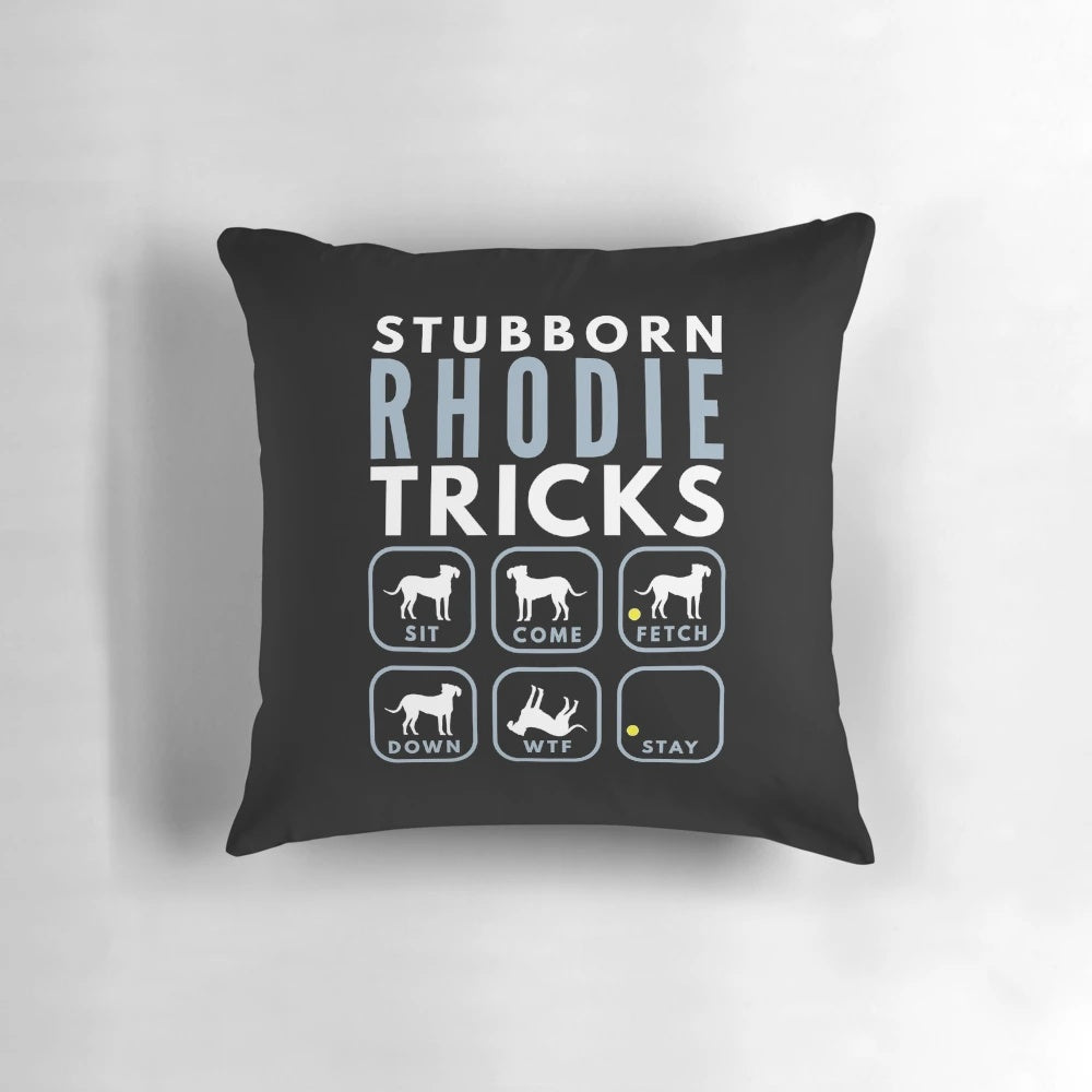 Rhodesian Ridgeback dog lying on a dog training pillow