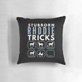 Rhodesian Ridgeback dog lying on a dog training pillow