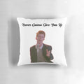 A plush, soft pillow featuring the memorable lyrics of Rick Astley's iconic song "Never Gonna Give You Up"