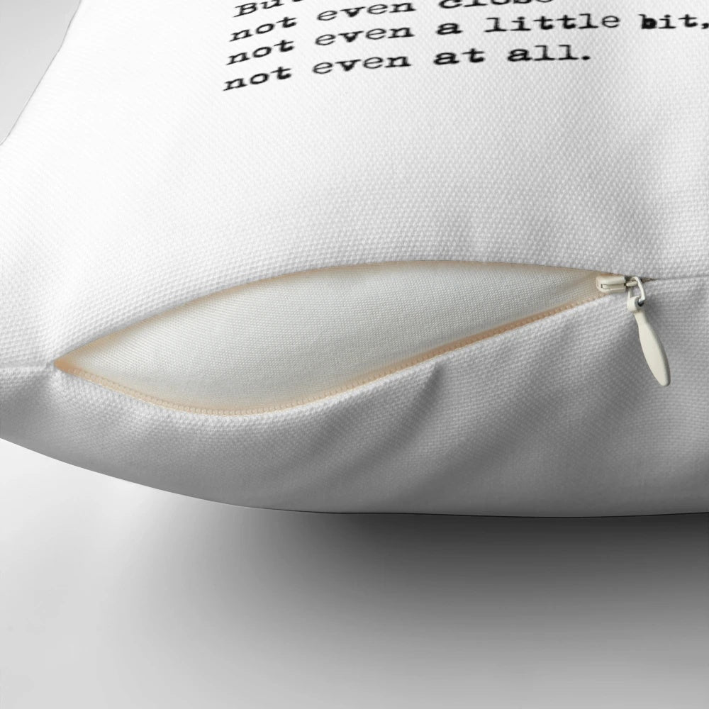 Romantic 10 Things I Hate About You inspired couple pillow featuring Patrick and Kat